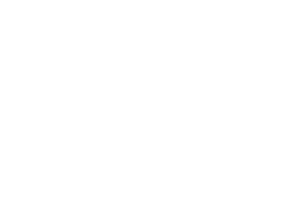 Aaon-logo