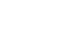 BASX-logo