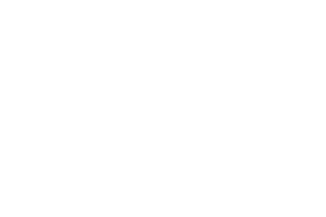 Peerless-logo