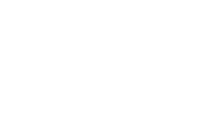 Sicflux-logo