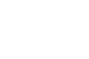 Xetex-logo